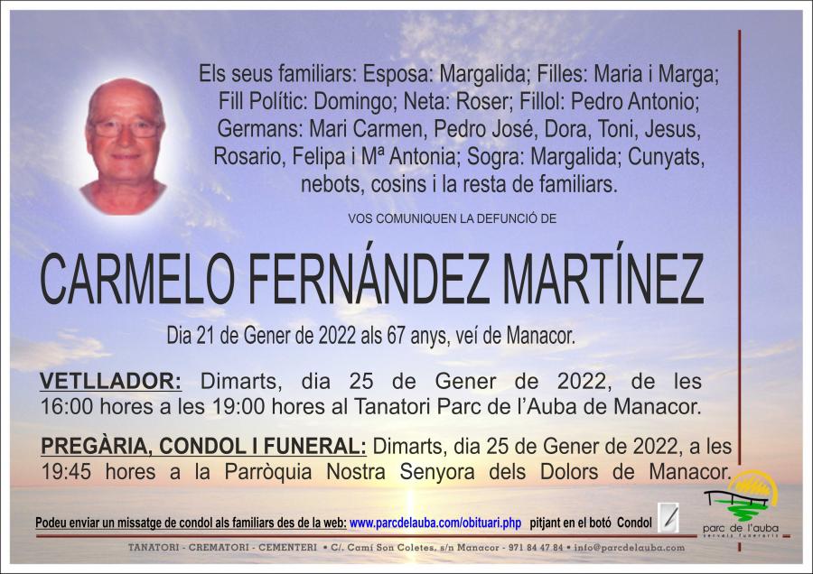 CARMELO FERNANDEZ MARTINEZ