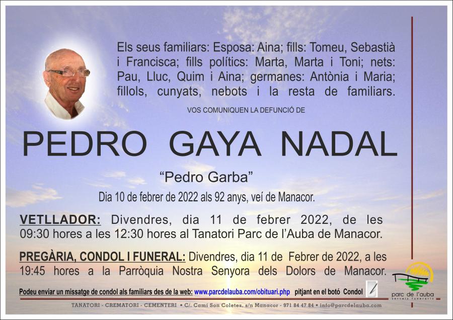 PEDRO GAYA NADAL