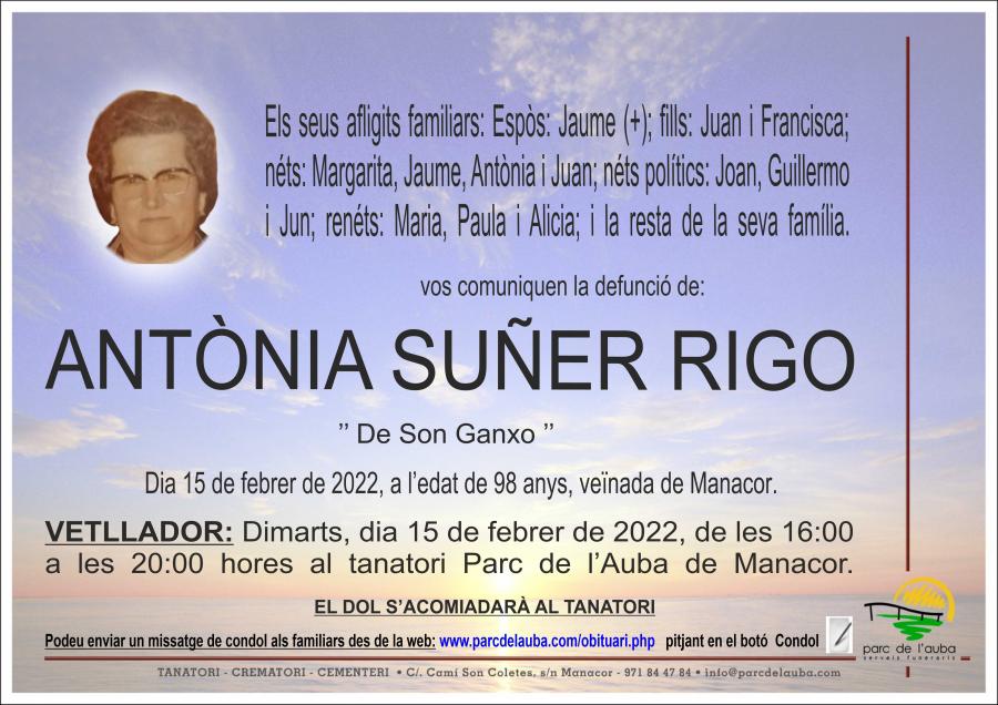ANTÃ'NIA  SUÑER RIGO