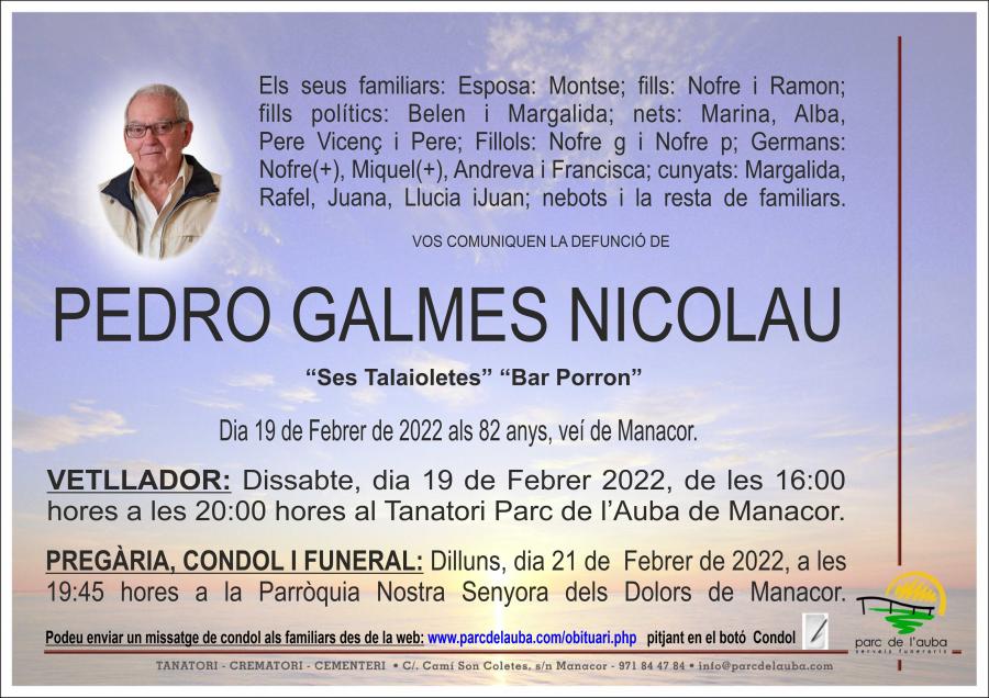 PEDRO GALMES NICOLAU