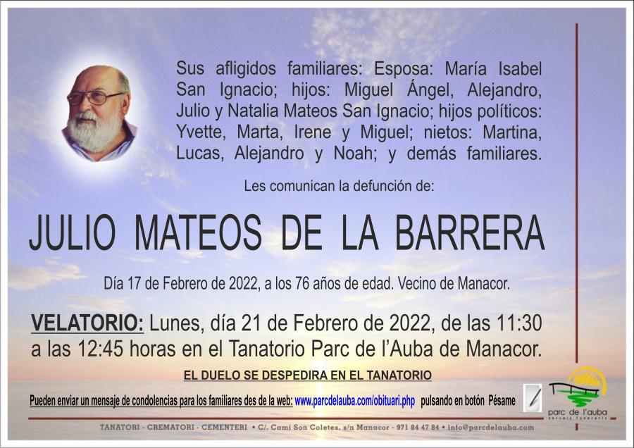 JULIO MATEOS DE LA BARRERA