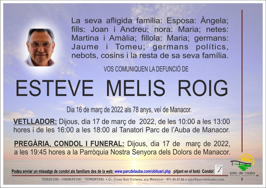 ESTEVE MELIS  ROIG