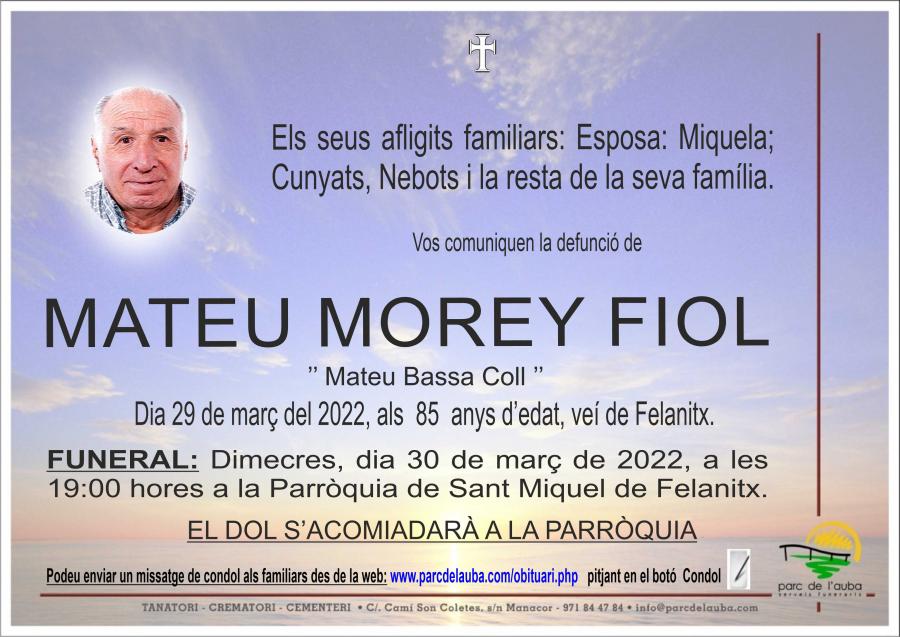 MATEU MOREY FIOL