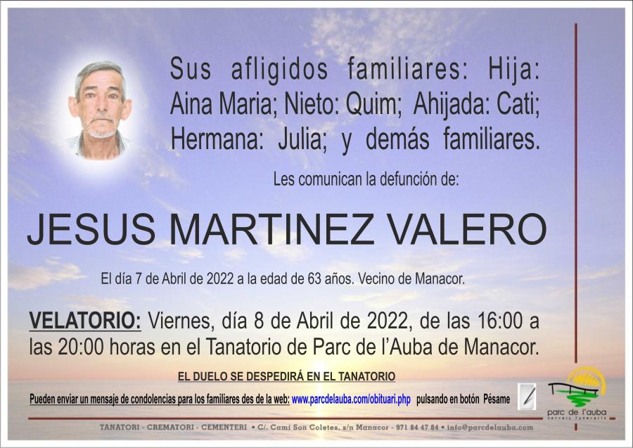 JESUS MARTINEZ VALERO