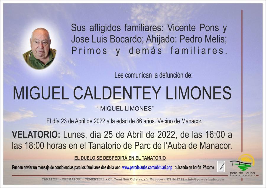 MIGUEL CALDENTEY LIMONES