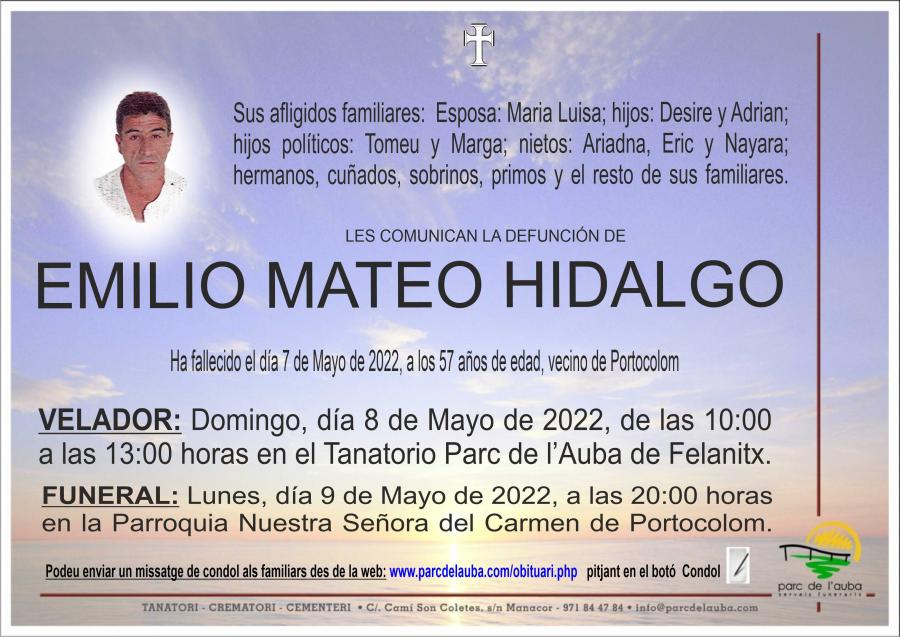 EMILIO MATEO HIDALGO