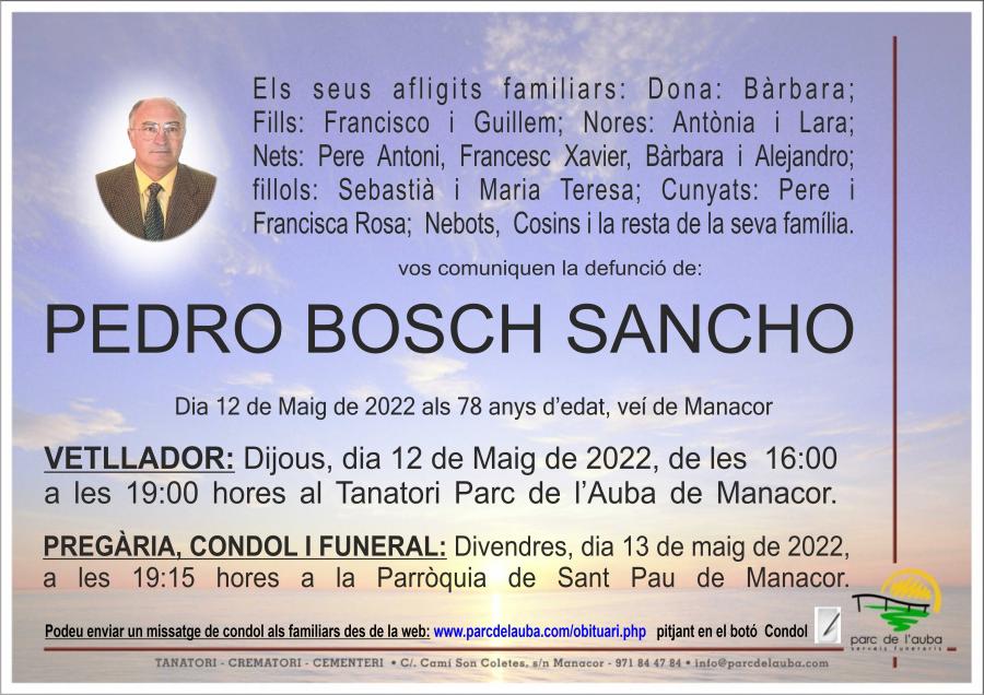 PEDRO  BOSCH SANCHO