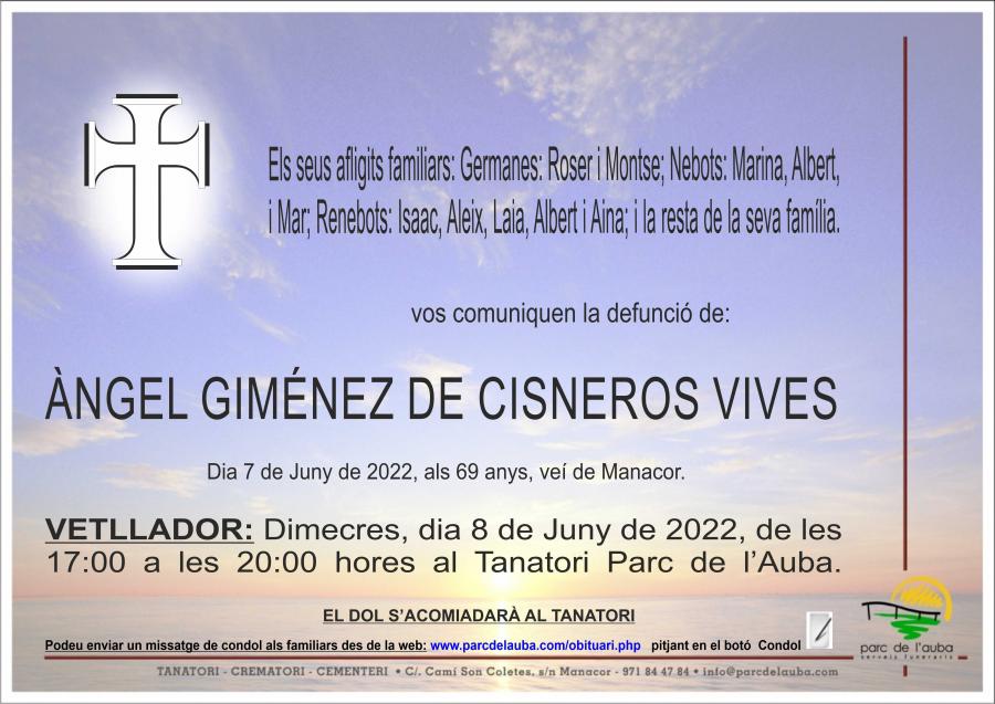 ANGEL GIMÉNEZ DE CISNEROS VIVES