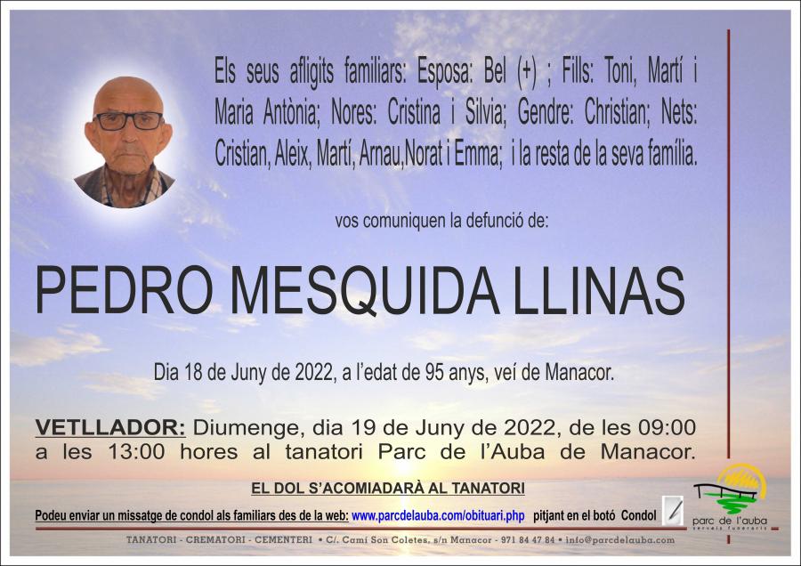PEDRO MESQUIDA LLINAS