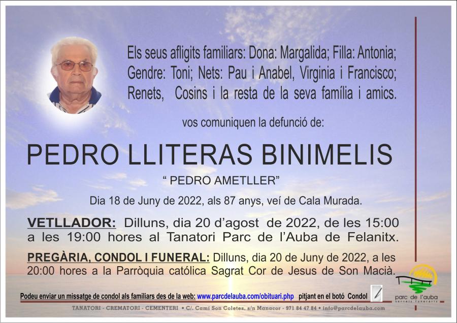 PEDRO LLITERAS BINIMELIS