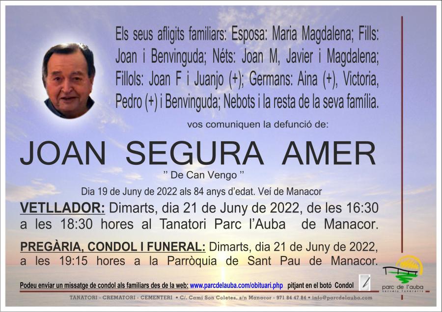 JOAN SEGURA AMER
