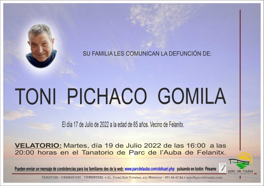 TONI PICHACO GOMILA