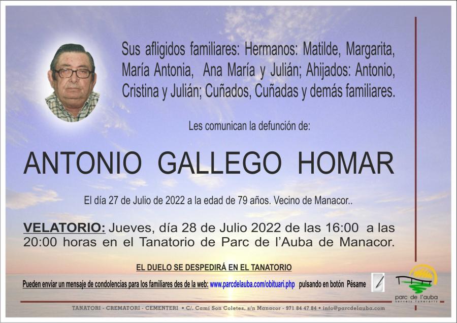 ANTONIO GALLEGO HOMAR