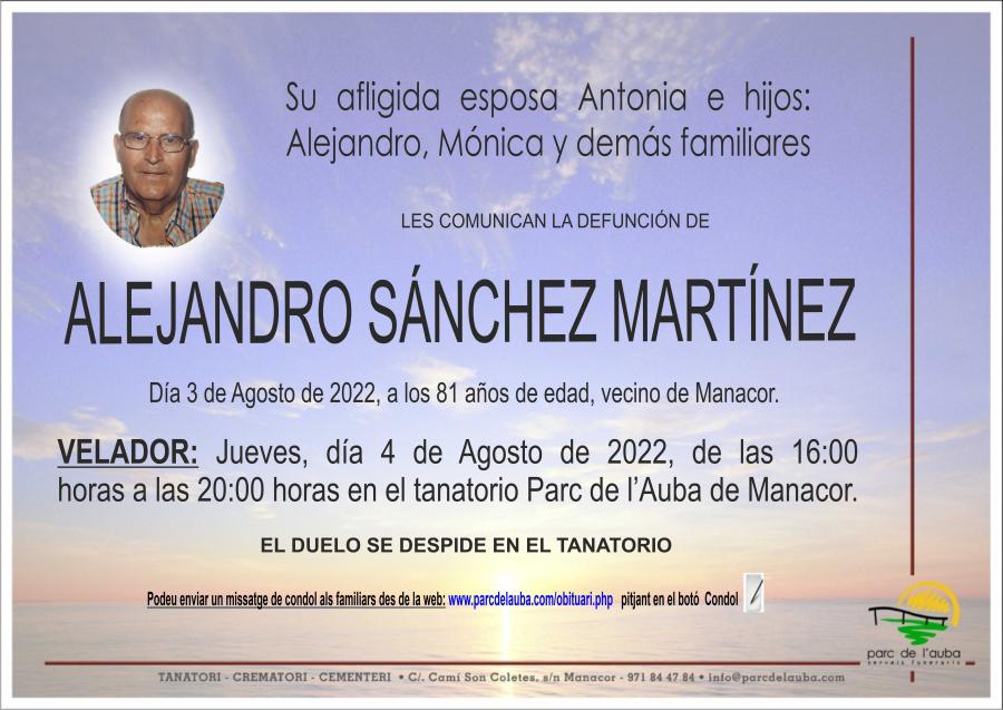 ALEJANDRO SANCHEZ MARTINEZ