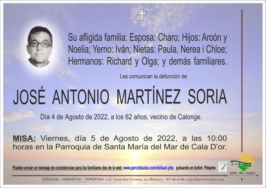 JOSÉ ANTONIO  MARTÍNEZ SORIA