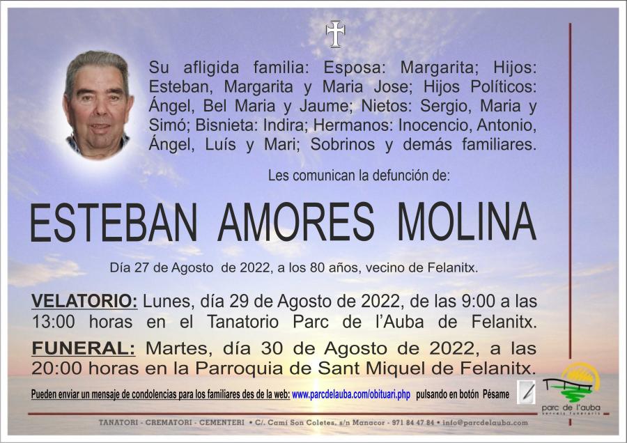 ESTEBAN  AMORES MOLINA