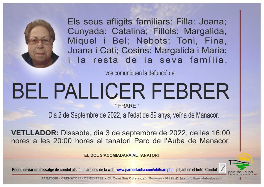 ISABEL PALLICER FEBRER