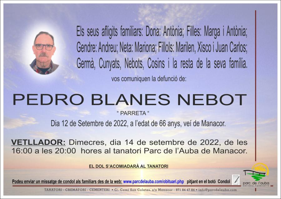 PEDRO BLANES NEBOT