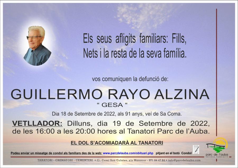 GUILLERMO RAYO ALZINA