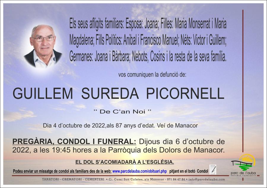 GUILLEM SUREDA PICORNELL