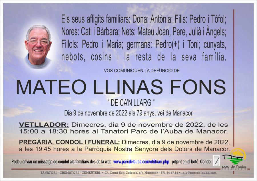 MATEO LLINAS FONS