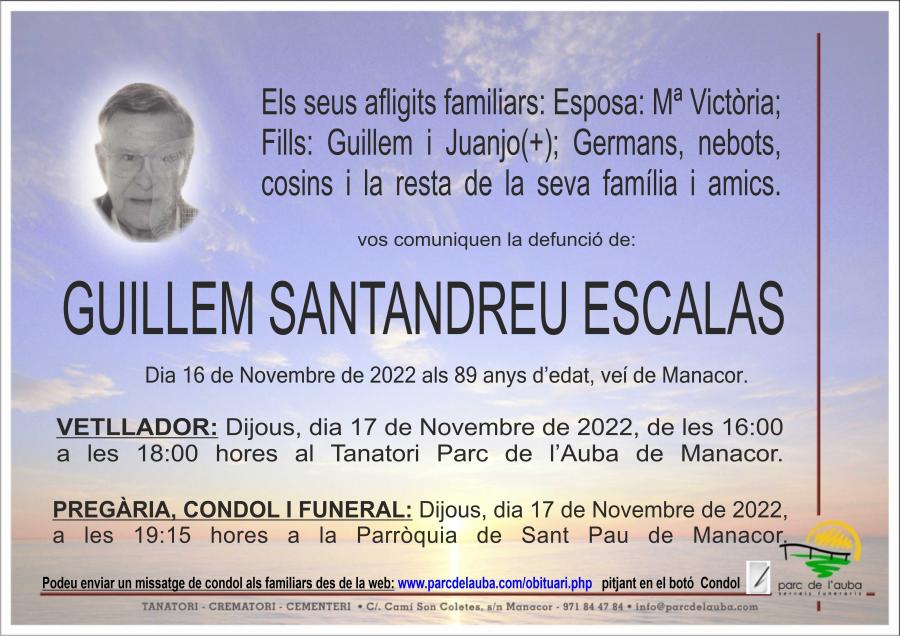 GUILLERMO SANTANDREU ESCALAS