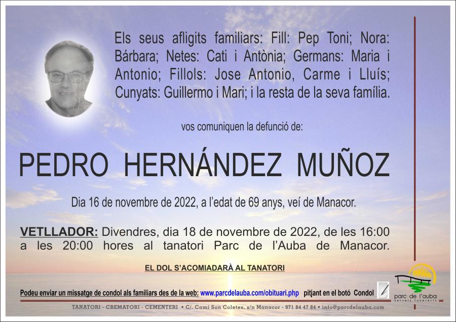 PEDRO HERNÁNDEZ MUÑOZ