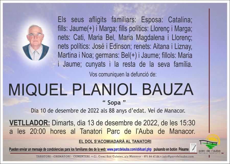 MIQUEL PLANIOL BAUZA