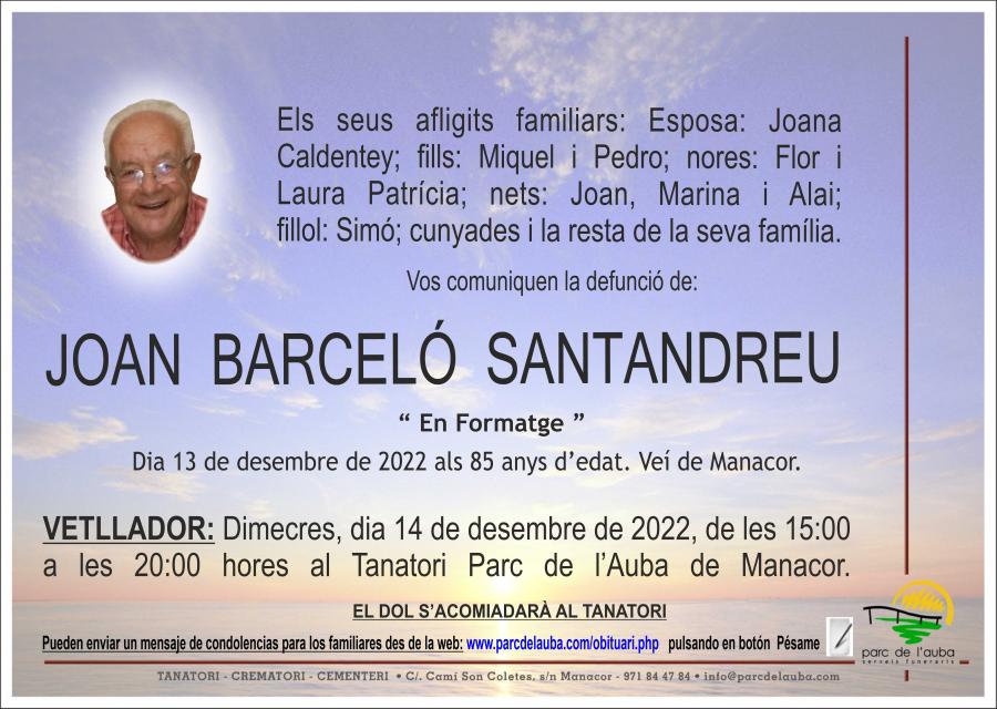 JOAN  BARCELÓ SANTANDREU