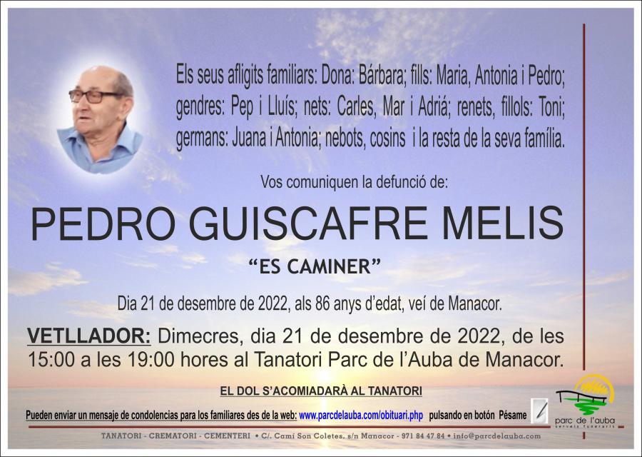 PEDRO  GUISCAFRE MELIS