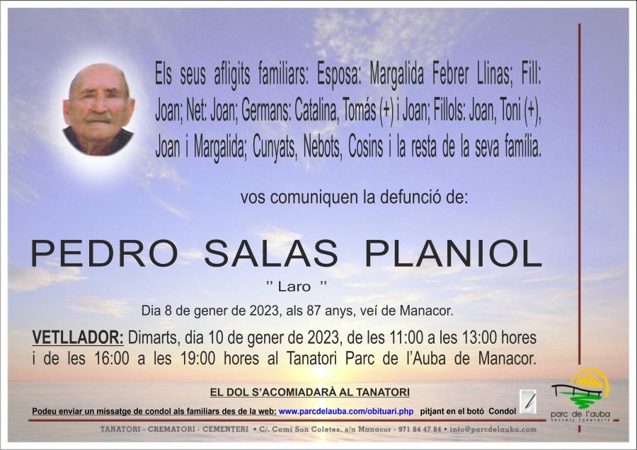 PEDRO SALAS PLANIOL