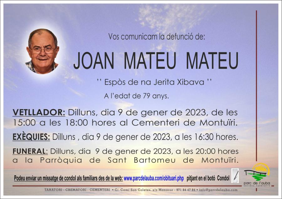 JOAN MATEU MATEU