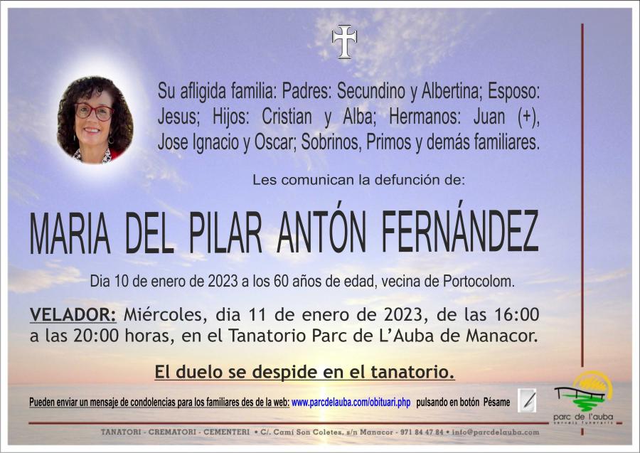 MARIA DEL PILAR ANTÓN FERNÁNDEZ