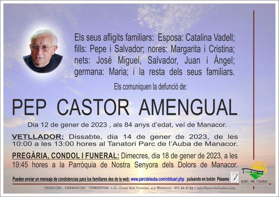 PEP CASTOR AMENGUAL