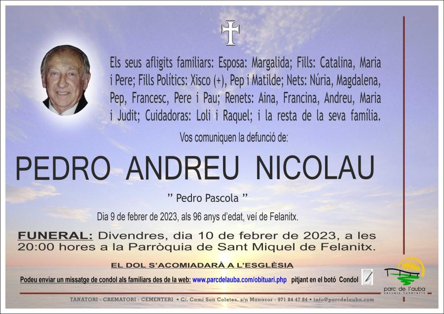 PEDRO ANDREU NICOLAU