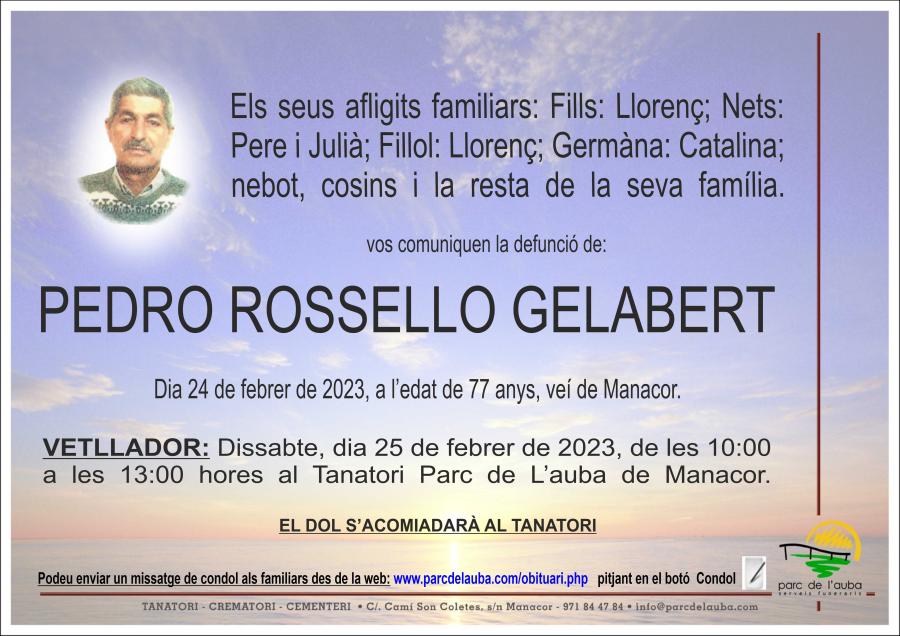 PEDRO ROSSELLO GELABERT