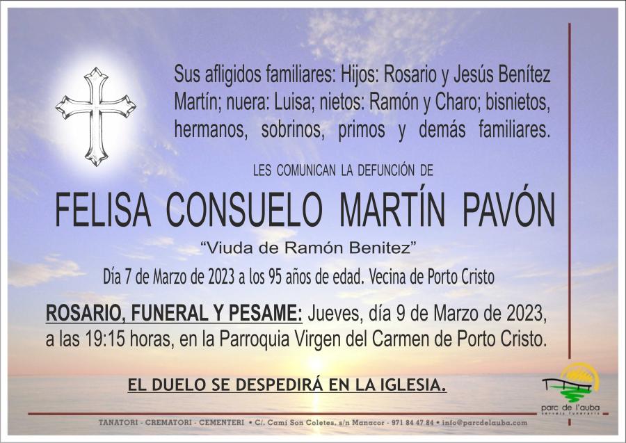 FELISA  CONSUELO MARTÍN  PAVÓN