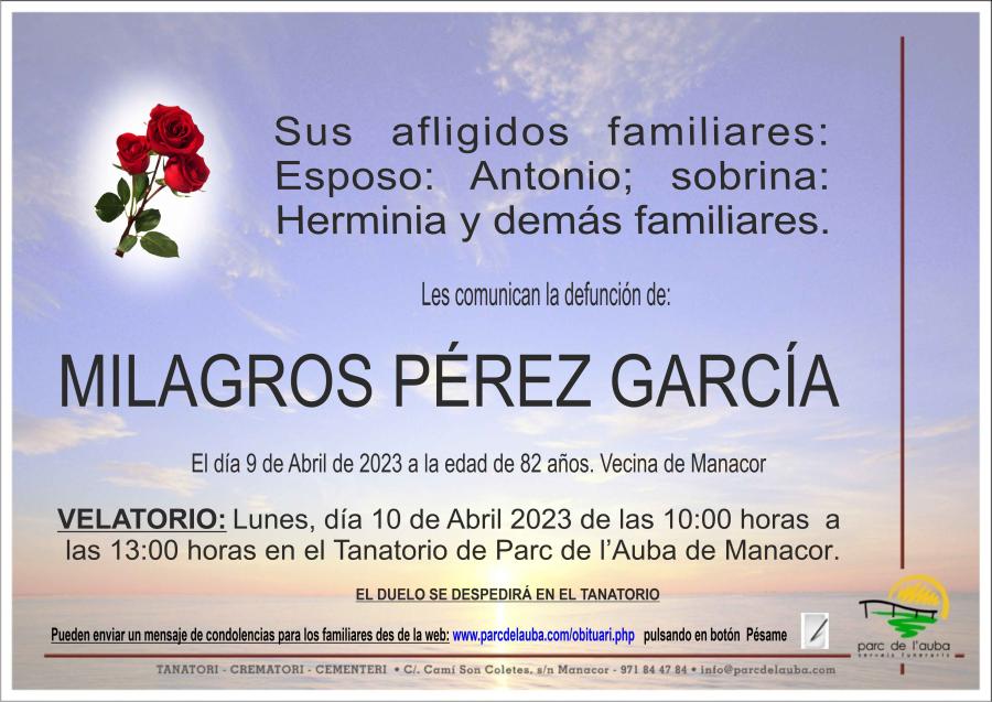 MILAGROS PEREZ GARCIA