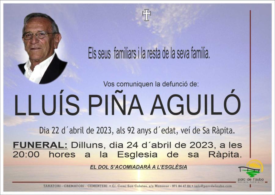 LLUIS  PIÑA AGUILO