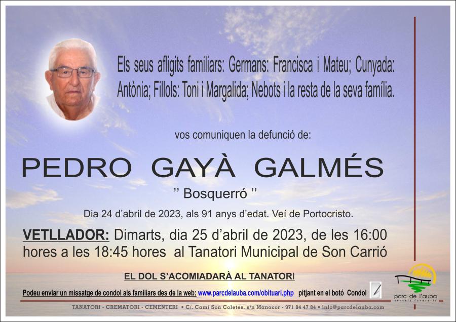 PEDRO GAYÀ GALMÉS