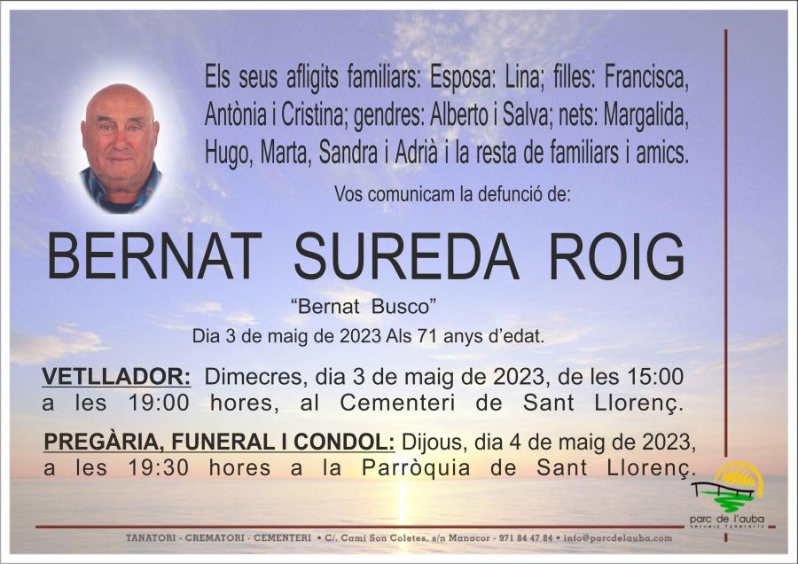 BERNAT  SUREDA ROIG