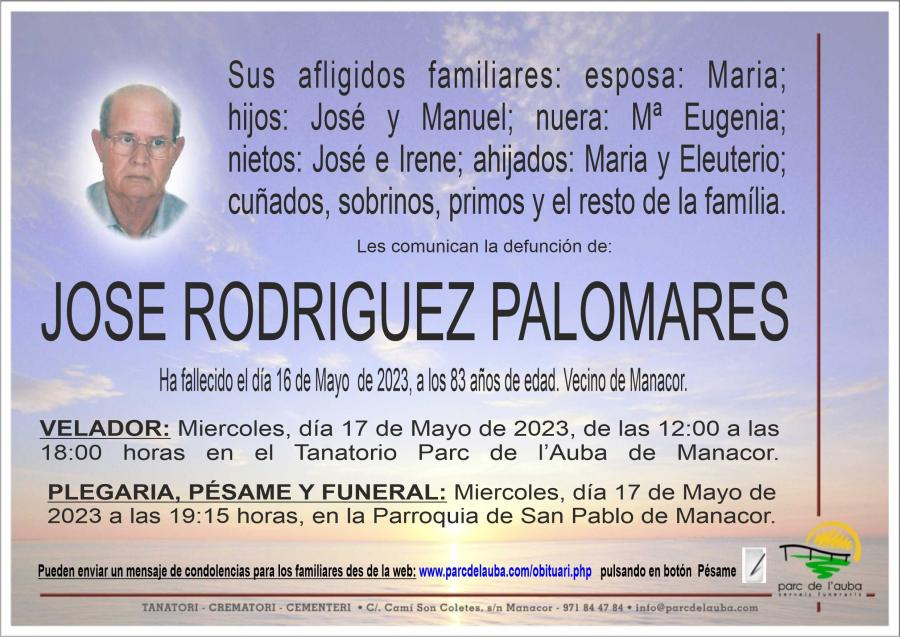 JOSE RODRIGUEZ PALOMARES