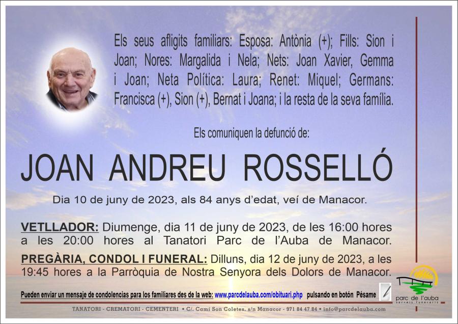 JOAN  ANDREU ROSSELLÓ