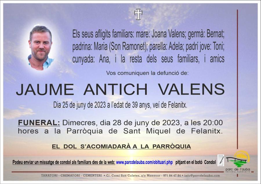 JAUME ANTICH  VALENS