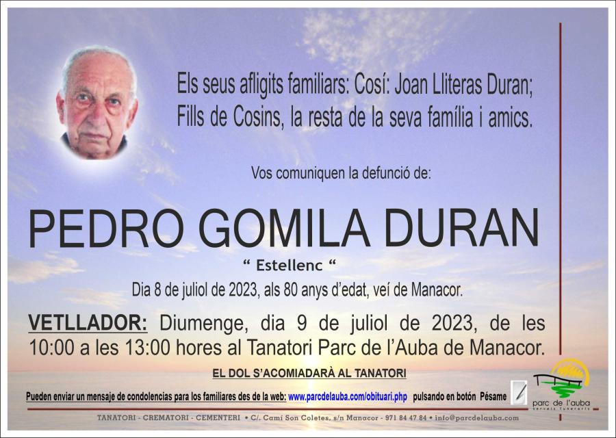 PEDRO  GOMILA DURAN