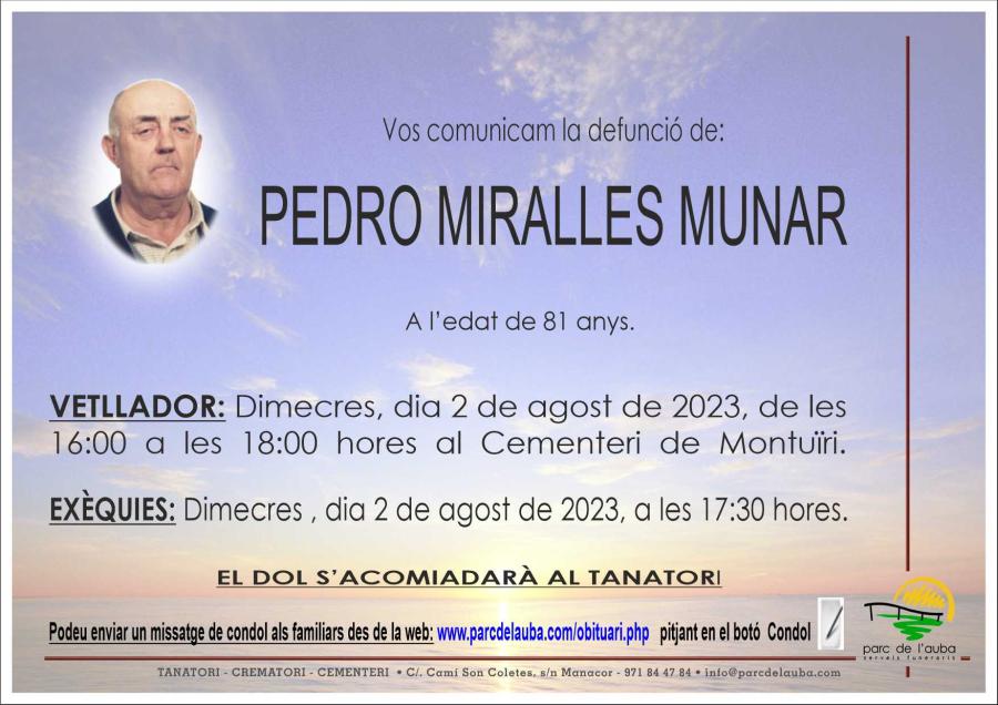 PEDRO MIRALLES MUNAR