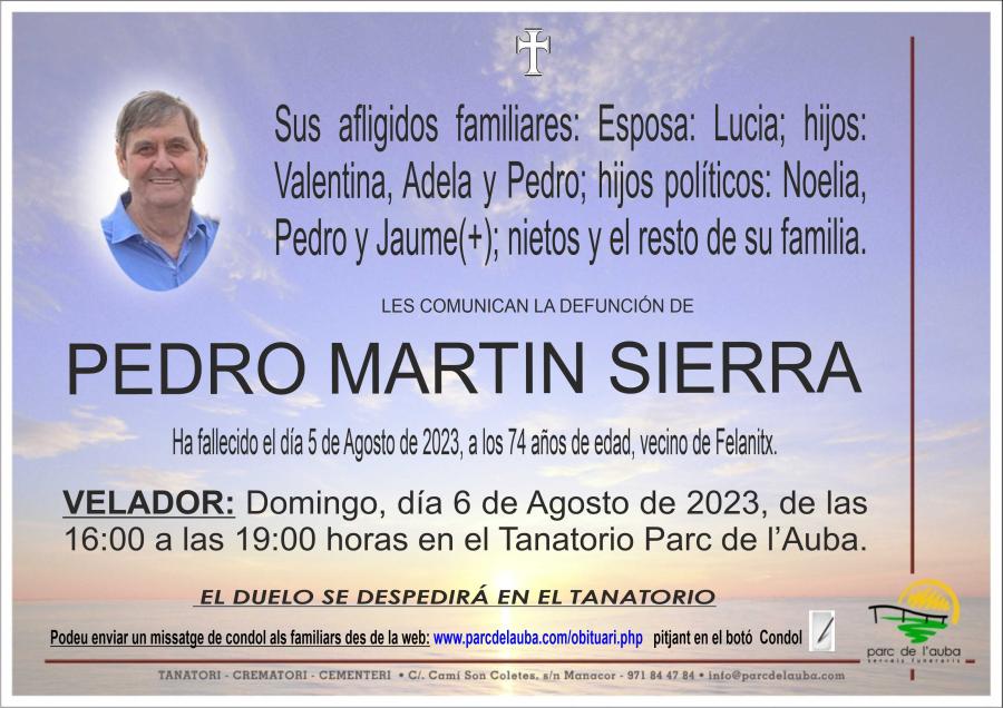 PEDRO  MARTIN SIERRA
