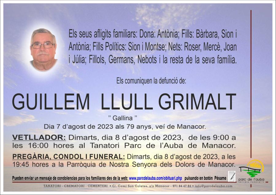 GUILLEM LLULL GRIMALT