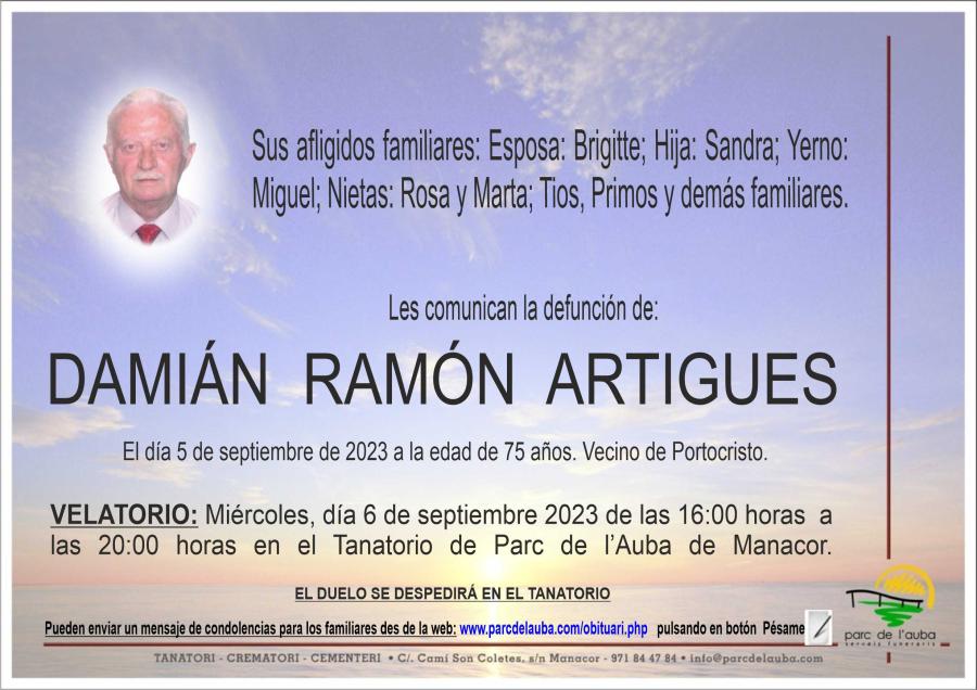 DAMIÁN  RAMÓN ARTIGUES