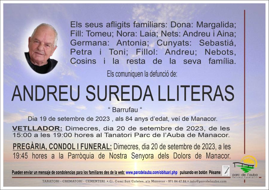 ANDREU  SUREDA LLITERAS